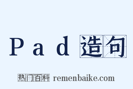 Pad造句是什么意思的图片